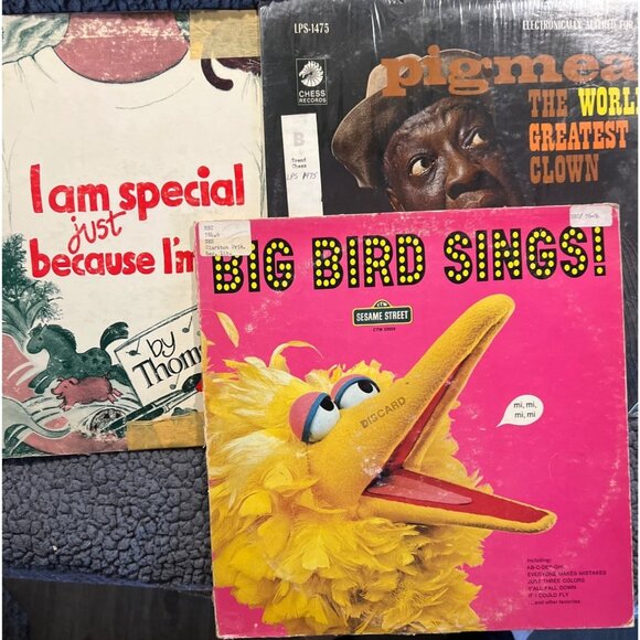 Vintage Record Lot 33 1/3 Disco Big Bird Peter and Wolf Pied Piper Cathy Fink - Picture 4 of 5
